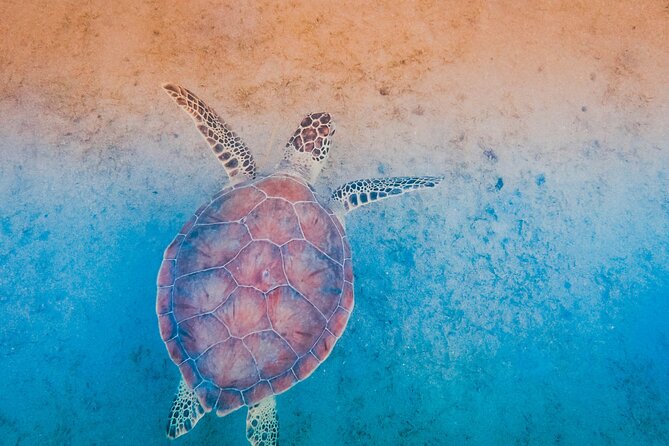 Mangrove Cay And Iguana Island Venture In Turks And Caicos Island - Timing, pickup, and the group size