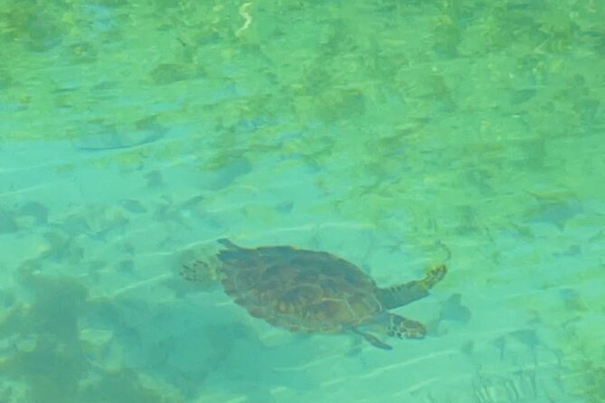 Mangrove Cay And Iguana Island Venture In Turks And Caicos Island - Heat, wind, and water deserve attention
