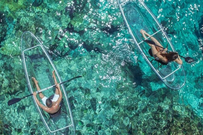 Mangrove Cay Tour - Key things to know before you book