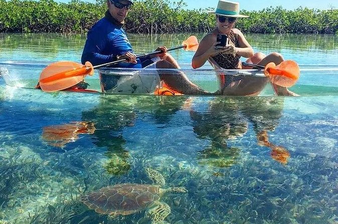 Mangrove Cay Tour - What the $130 price includes in practical terms