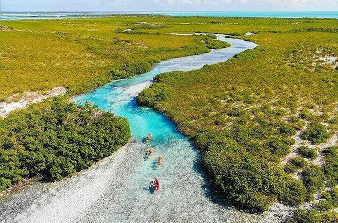 Mangrove Cay Tour - Tips for getting the best outing