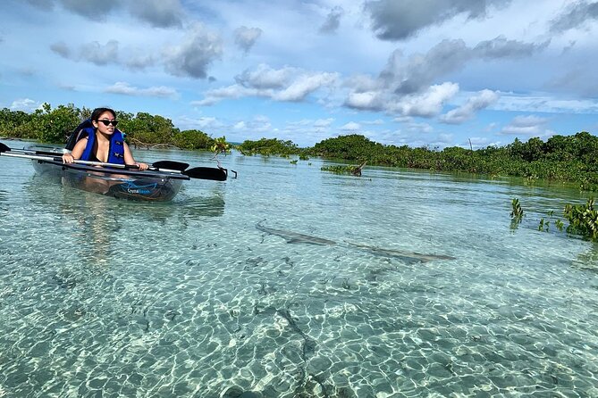 Mangrove Clear Kayak Tour - Seeing Turks and Caicos Through a Clear Kayak