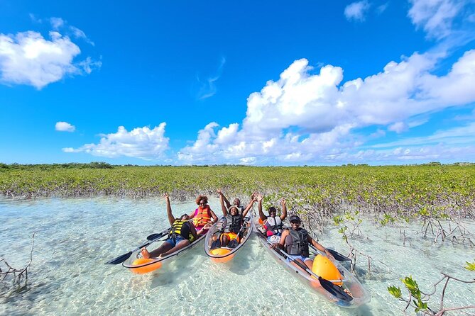 Mangrove Clear Kayak Tour - How Strenuous Is the Kayaking?