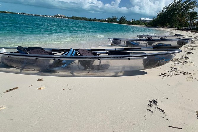 Mangrove & Iguana Clear Kayak Tour - Why Mangrove Cay works so well for wildlife