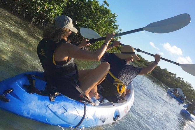 Mangroves Kayak Tour - Key things to know before you paddle