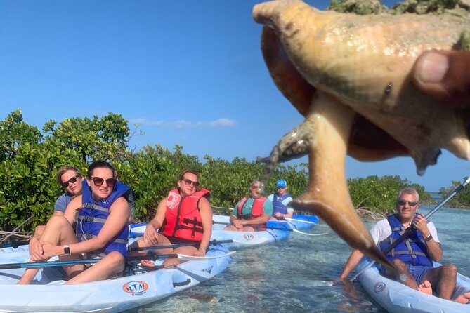 Mangroves Kayak Tour - Finding turtles, lemon sharks, and tropical fish