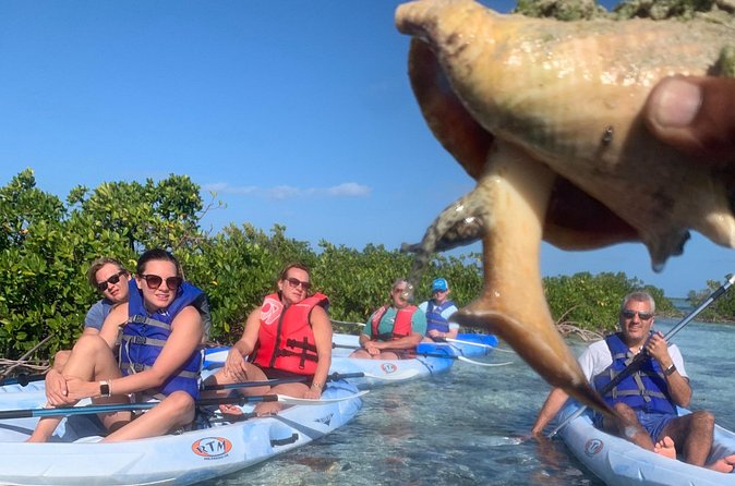 Mangroves Kayak Tour - Tide, weather, and communication concerns
