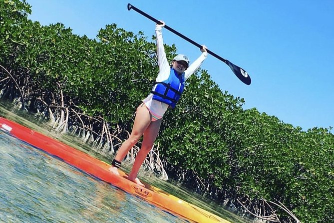 Mangroves Stand-Up Paddleboard Tour - Key points to know before you paddle