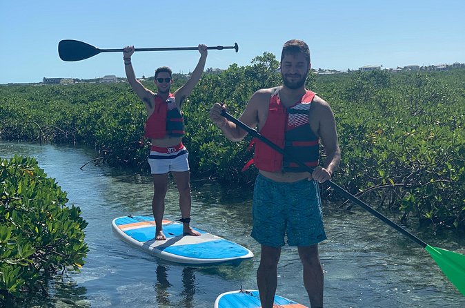 Mangroves Stand-Up Paddleboard Tour - Wildlife, silence, and the right expectations