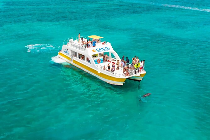 Morning Half Day Cruise from Providenciales with Snorkeling and Iguana Island - What the $159.30 price buys you
