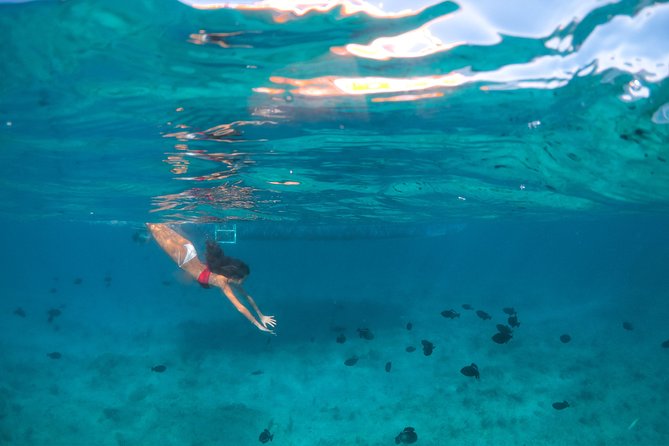Morning Half Day Cruise from Providenciales with Snorkeling and Iguana Island - Cruising along Grace Bay Beach