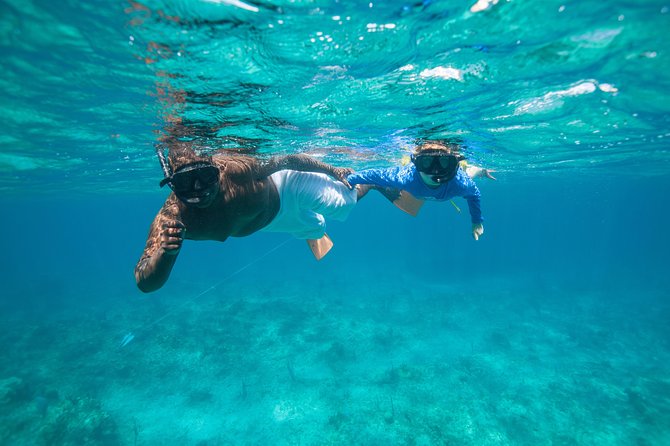 Morning Half Day Cruise from Providenciales with Snorkeling and Iguana Island - Is this suitable for children and older adults?