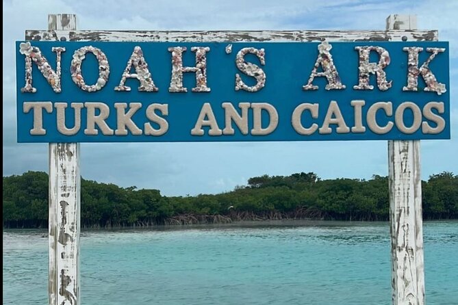 Noahs Ark Catamaran Trip - Why Noah’s Ark makes this trip different