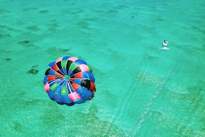 Parasailing Adventure from Providenciales in Turks and Caicos - Who will enjoy this most