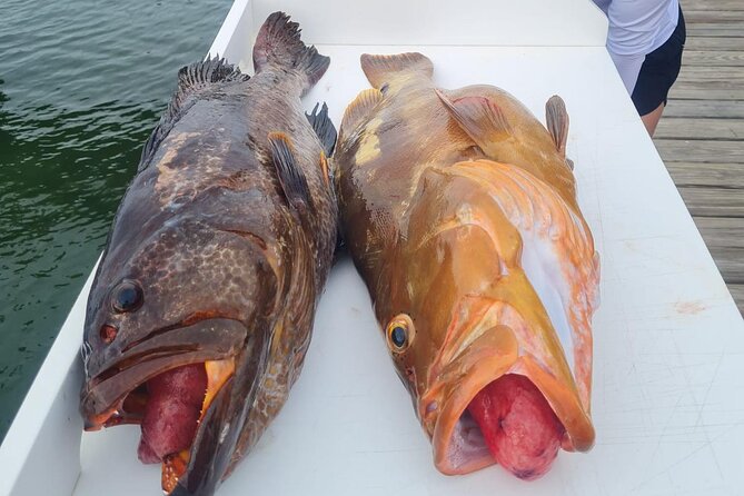Private 1/2 Day Afternoon Bottom Fishing Charter on "Shady Grady" - What a four-hour afternoon on Shady Grady is like