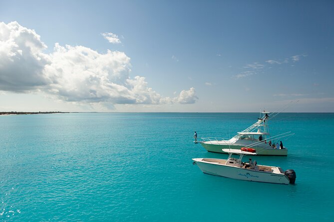 Private 1/2 Day Afternoon Bottom Fishing Charter on "Shady Grady" - Why bottom fishing works well for beginners