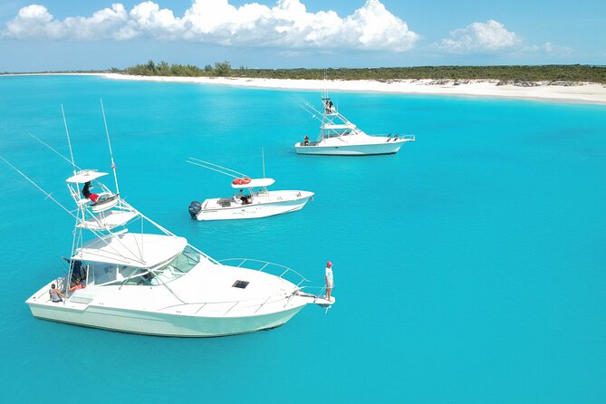 Private 1/2 Day Afternoon Charter Deep Sea Fishing on Wahooter's - How the trip works for families and first-time fishers
