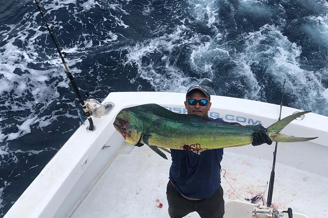 Private 6hr Deep Sea Fishing Charter on "Angler Management" - Trolling Seven Lines Along the Wall