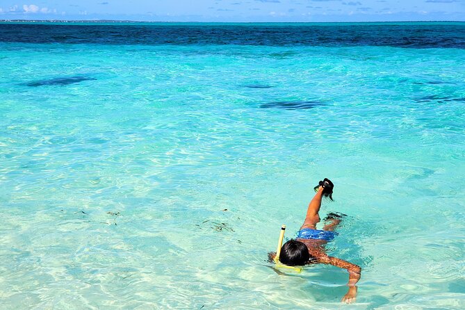 Private Boat Tour with Snorkeling, Island Hopping, and Noahs Ark - Price, group size, and what is included