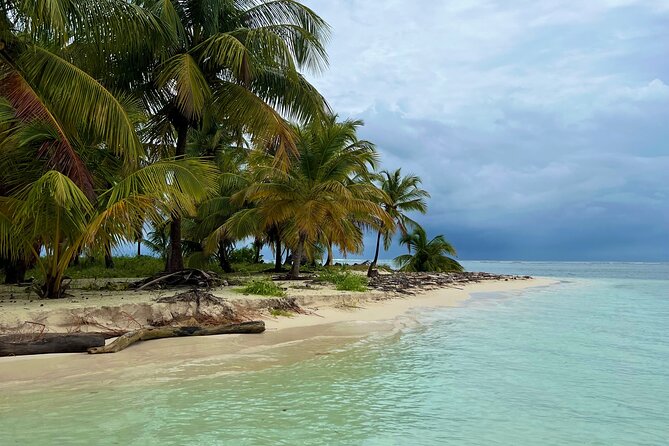 Private Half-Day Catamaran Cruise, Turks and Caicos Islands - Drinks are included, but lunch is not