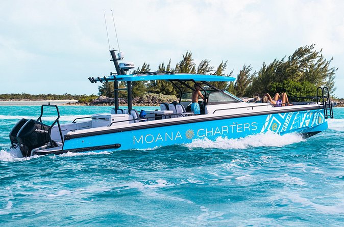 Private Half Day Luxury Snorkeling Charter - Sand Dollar Sand Bar and Half Moon Bay