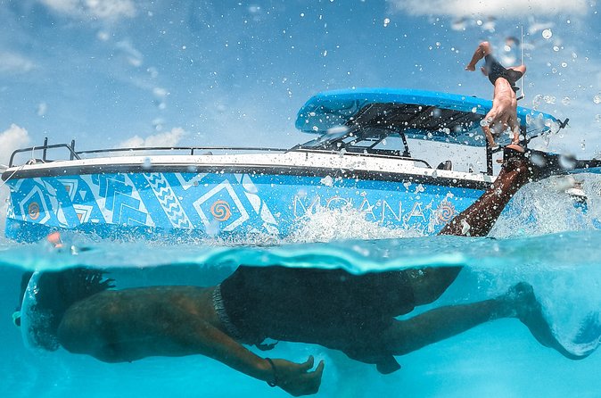Private Half Day Luxury Snorkeling Charter - Iguana Island, Noah’s Ark, and Grace Bay views