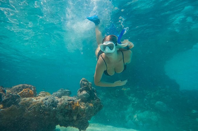 Private Half Day Luxury Snorkeling Charter - Who will enjoy this most?