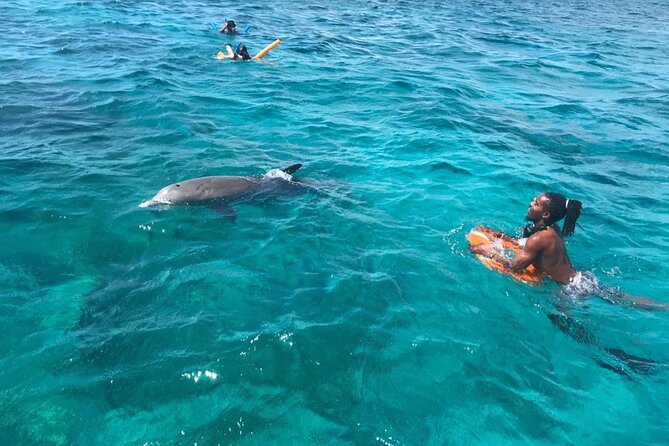 Private Reef, Beach and Sandbar Tour from Providenciales - La Famille Express is the optional thrill stop