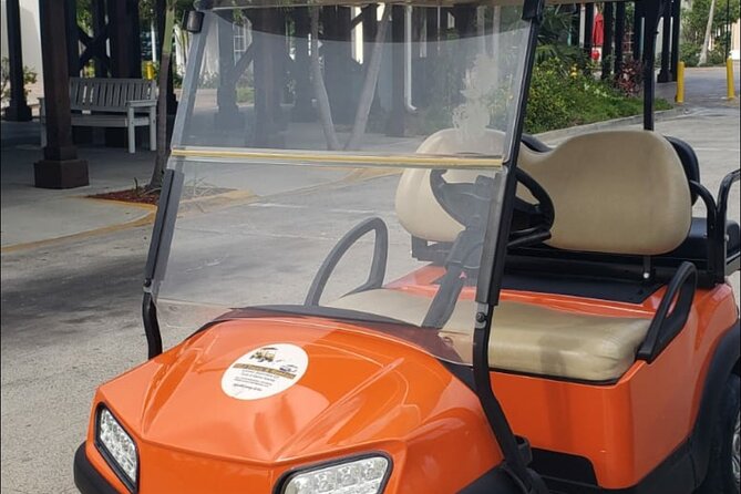 PRJ Golf cart rental in Grand Turk - Beaches, snorkeling, and the island’s donkeys