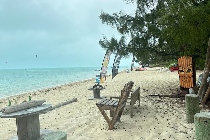 Providenciales ATV/UTV Beach Bounce Tour - Leeward Beach and the brown pelican