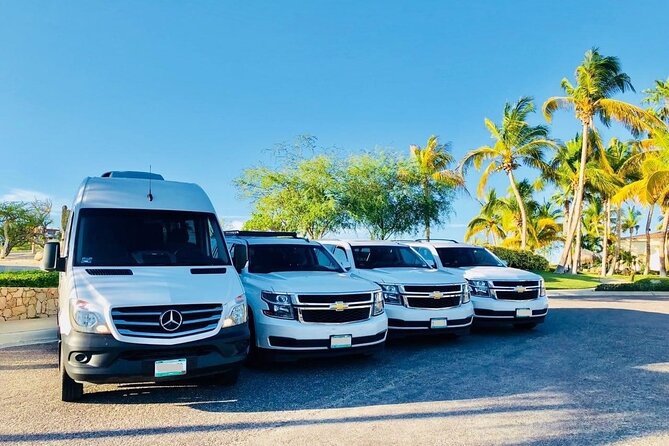 Providenciales to Caicos Providenciales Airport (PLS) - Transfer - Private capacity for families and larger groups