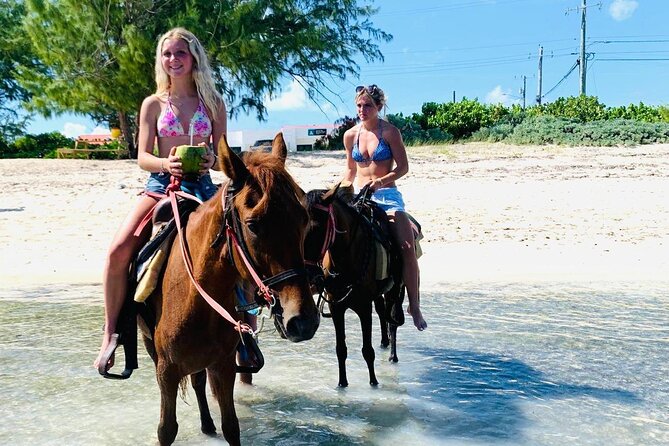 Shared Horseback Riding in Turks and Caicos - A short ride with a big beach setting