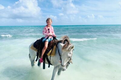Shared Horseback Riding in Turks and Caicos