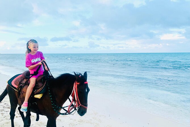 Shared Horseback Riding in Turks and Caicos - Safety, comfort, and realistic expectations