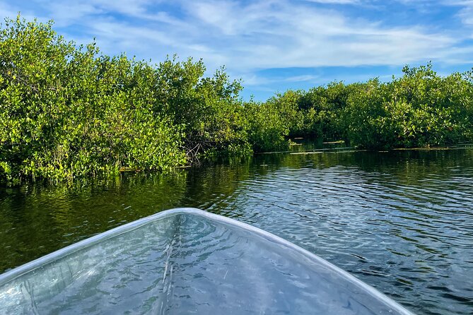 Sip & Sea Mangrove Glass Boat Tour Grand Turk Island - Guides, group size, and the human side of the tour
