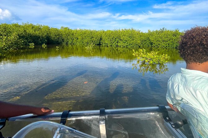 Sip & Sea Mangrove Glass Boat Tour Grand Turk Island - Timing, weather, and what to bring