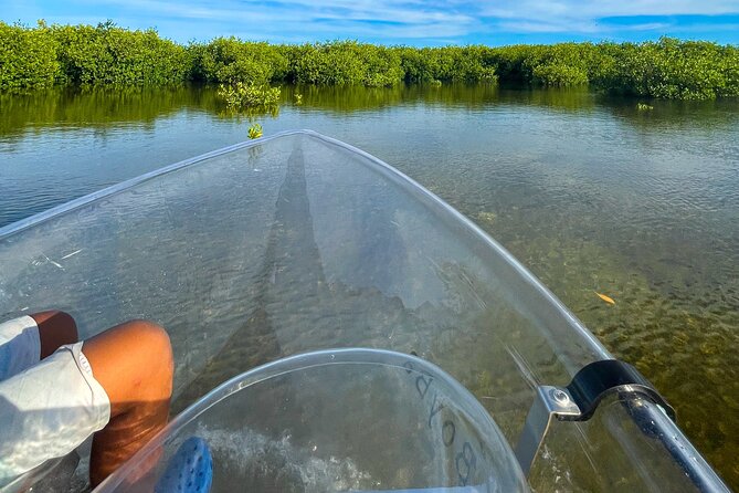 Sip & Sea Mangrove Glass Boat Tour Grand Turk Island - Columbus Landfall National Park and the salt-industry coast