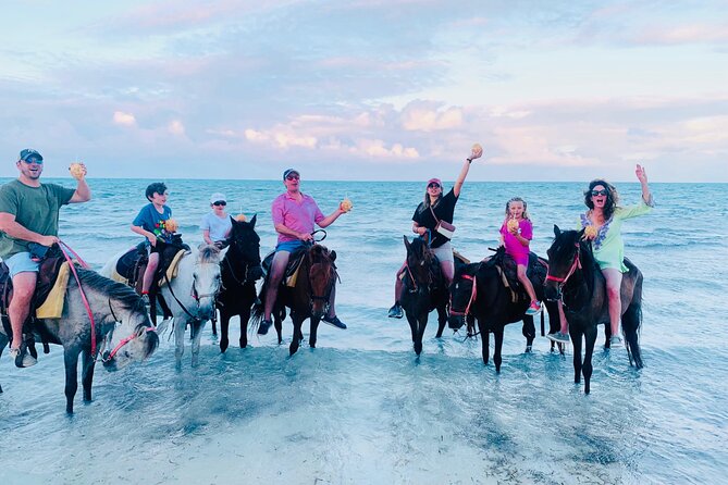 Small Group Horseback Riding Adventure in Caicos Islands - What makes this beach ride worth considering