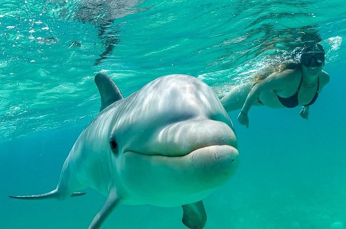 Snorkel Eco Tour - Why the in-water guide makes a difference