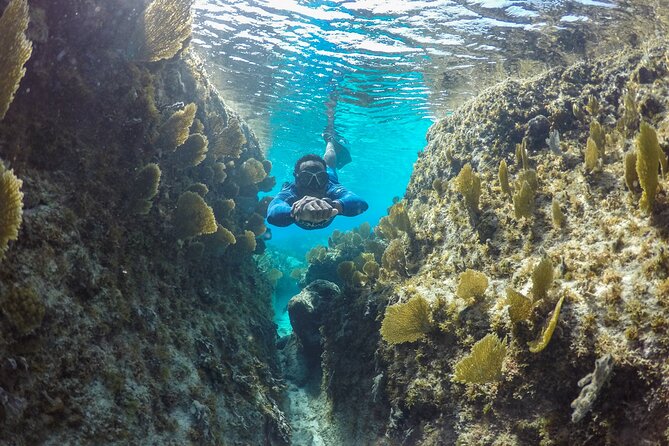 Snorkel Eco Tour - Snacks, drinks, and what to bring