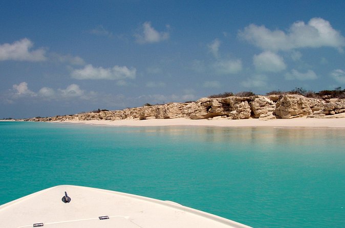 Snorkel Eco Tour - Families, first-timers, and experienced snorkelers