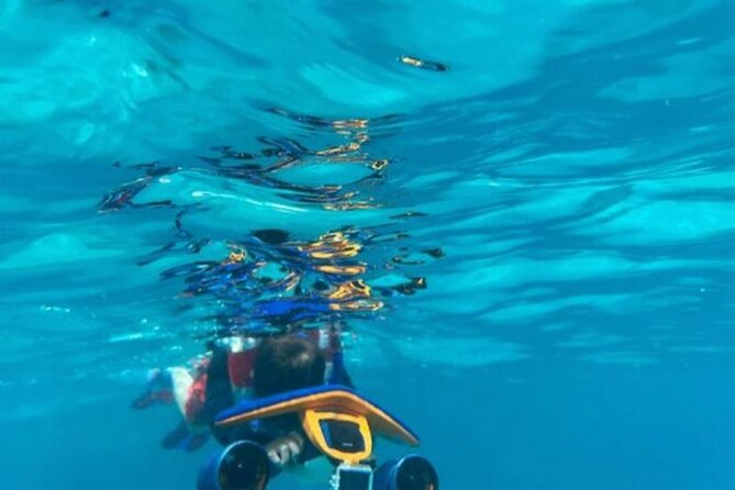 Snorkeling with Sea Scooters and Sea Adventure - Offshore - Entering from the reef shoreline