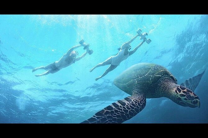 Snorkeling with Sea Scooters and Sea Adventure - Offshore - The best fit for this water adventure