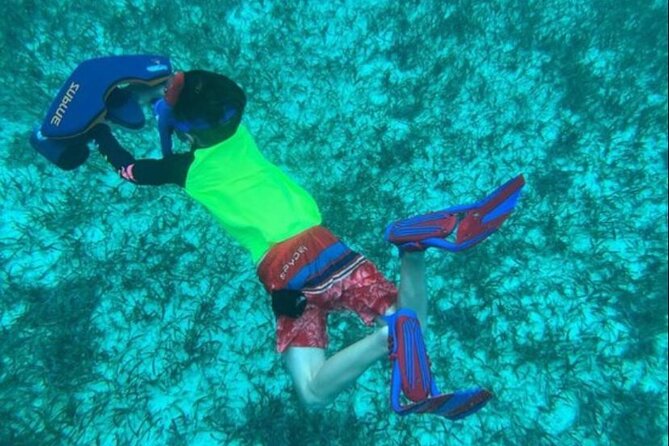 Snorkeling with Sea Scooters and Sea Adventure - Offshore - Weather, cancellation, and small-group conditions
