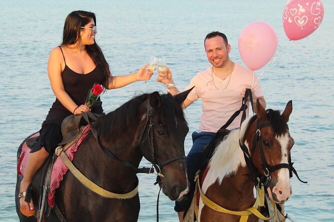 Spectacular Private Beach & Ocean Ride in Providenciales - The horses and the safety setup