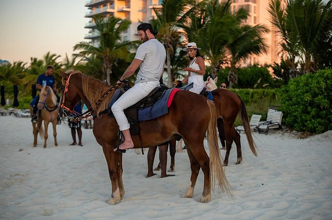 Spectacular Private Beach & Ocean Ride in Providenciales - Is $439.23 per person a fair price?