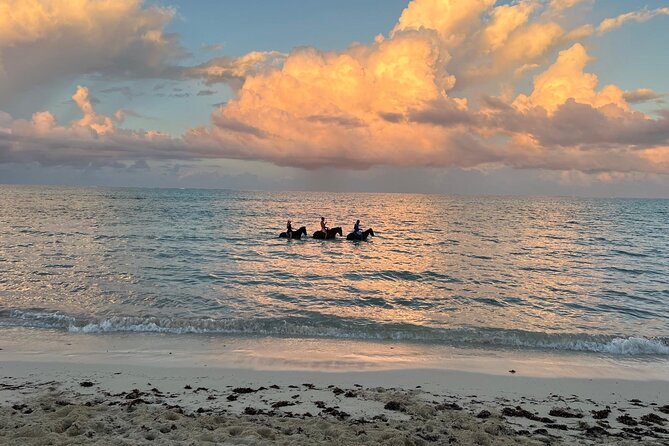 Sunset Horse Ride Experience - Complimentary photos and celebration extras