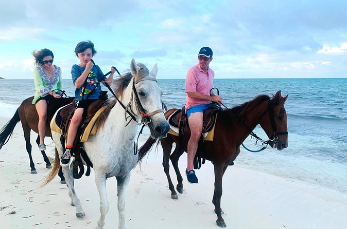 Sunset Horse Ride Experience - What the $226 price includes
