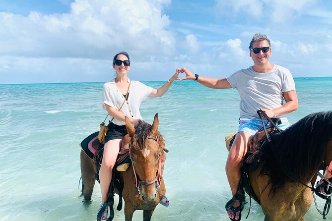 Sunset Horse Ride Experience - Horse care and a fair concern to consider