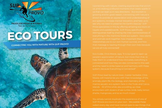 Turtle Eco Tour on Stand-Up Paddleboards or Kayaks into the National Marine Park - A close look at Providenciales’ mangrove wildlife